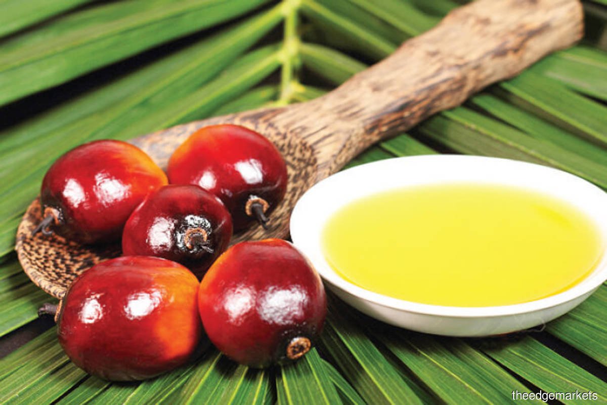 Palm oil producing countries need to increase production sustainably, says CPOPC director
